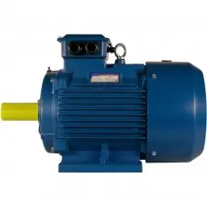 Электродвигатель 280 S4 IM 1001 110/1500 (5АИ)