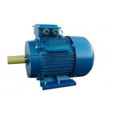 Электродвигатель 5АИ 200 М6 22/1000 IM 1001