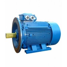 Электродвигатель 63 В2  IM 2081 0.55/3000  (5АИ)