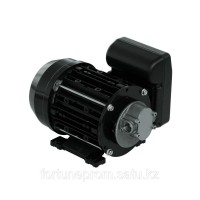Насос Garda 5 220V, PIUSI NMT450006