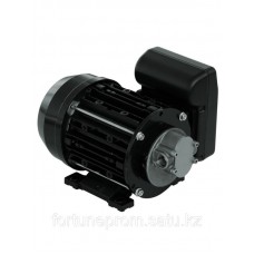 Насос Garda 5 220V, PIUSI NMT450006